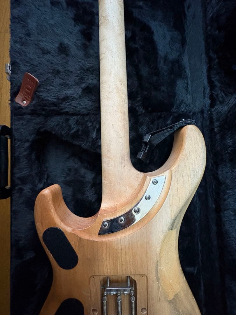 極美品 Washburn N4 Authentic ClipLock付き本人仕様