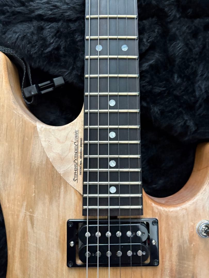 極美品 Washburn N4 Authentic ClipLock付き本人仕様