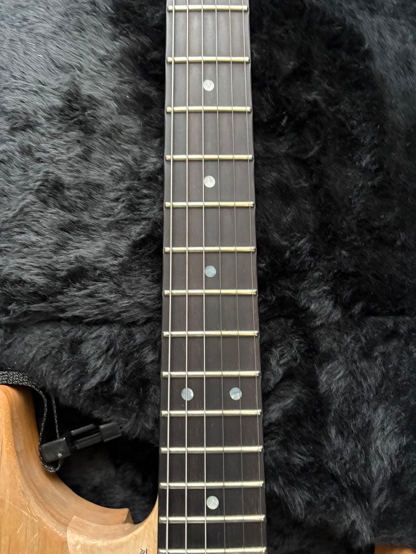 極美品 Washburn N4 Authentic ClipLock付き本人仕様