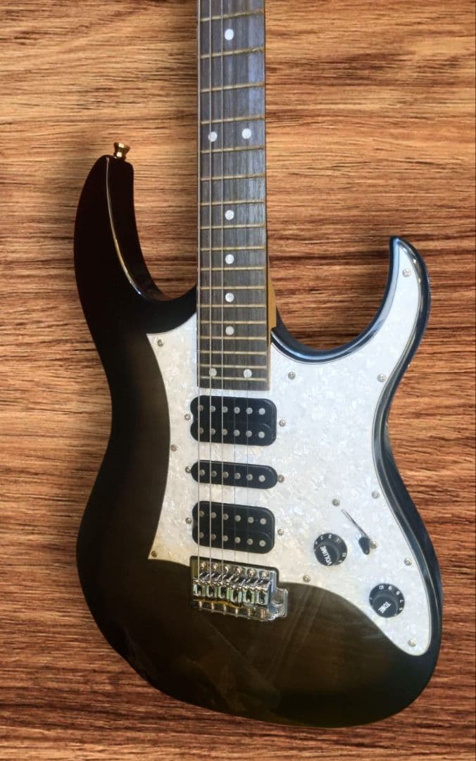 GIG THE PROFESSIONAL・ギター・ ソフトケースつき