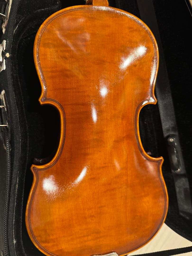 1/8バイオリン EASTMAN VL80 2018年制