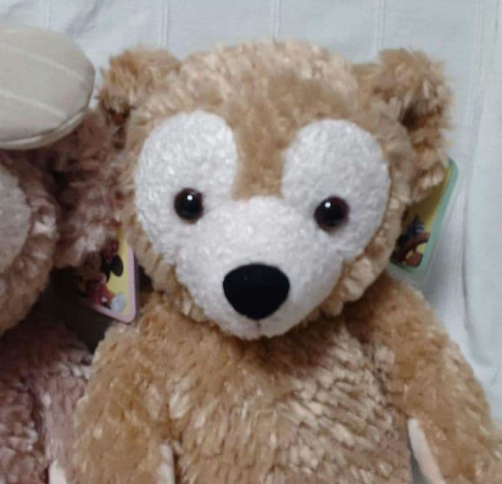 【新品】TDS ダッフィー & シェリーメイ ぬいぐるみ Sサイズ セット