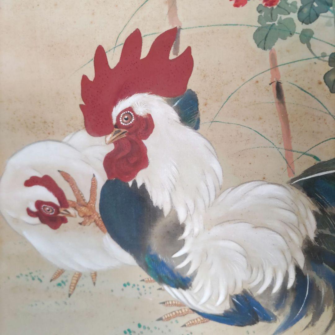 菊に鶏の掛軸　H60