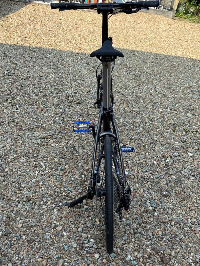 Tern VERGE P10(2021年)