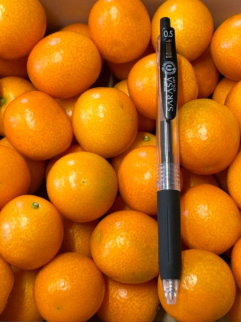 宮崎県産　ロジ金柑　箱込10キロ　2Lサイズ