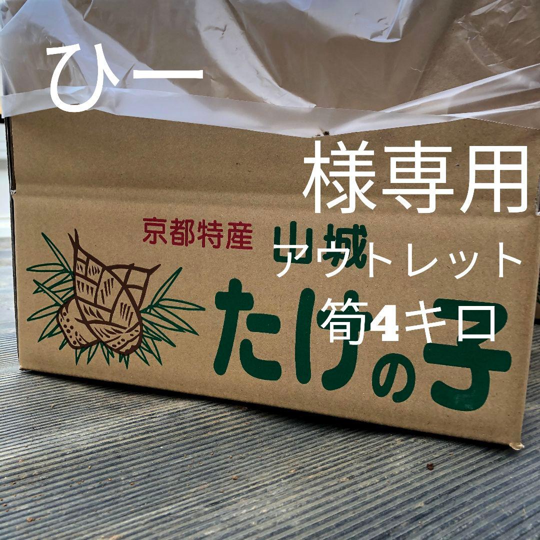 ひー アウトレット筍4キロ
