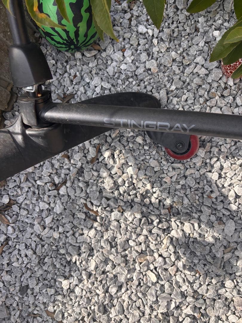 Radio Flyer Stingray 黒色 628