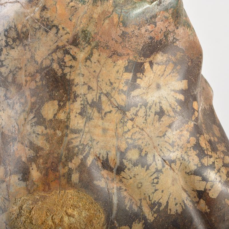 天然石　鑑賞石　菊花石　置物　重さ約3.5kg　唐木台付　V　R6416