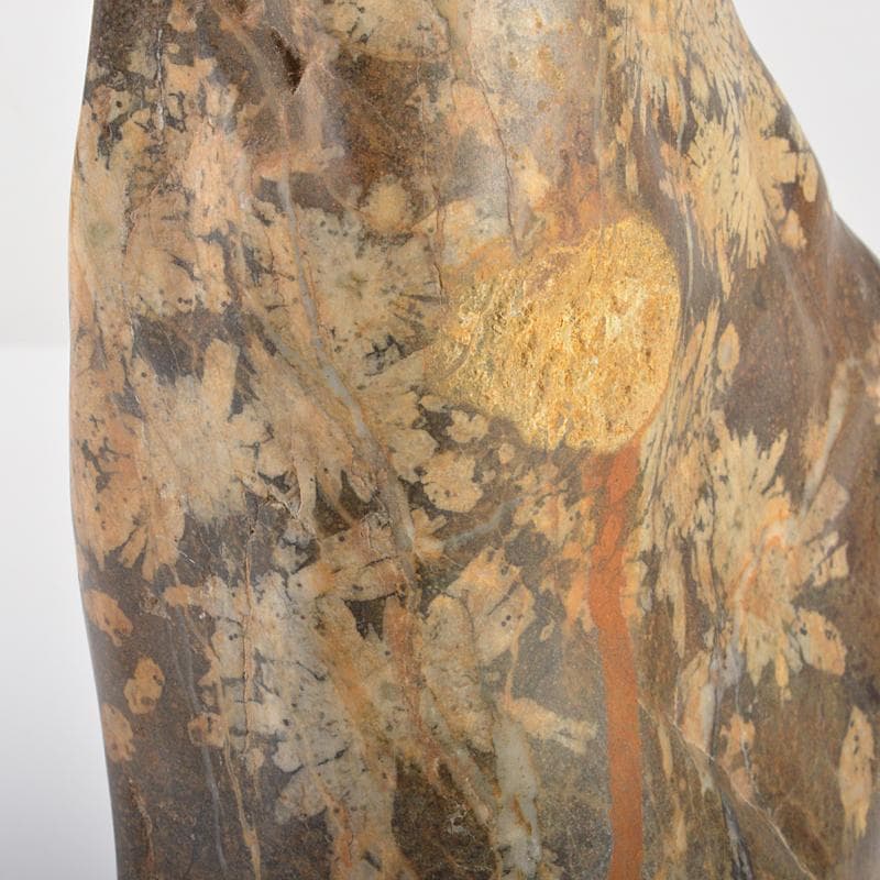 天然石　鑑賞石　菊花石　置物　重さ約3.5kg　唐木台付　V　R6416