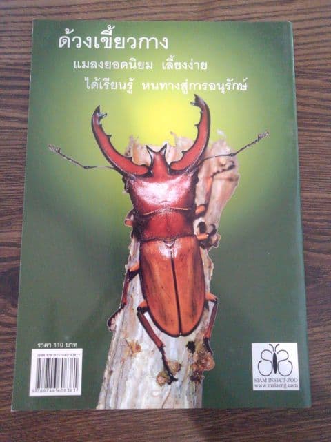 【輸入本】タイの専門書【クワガタ】