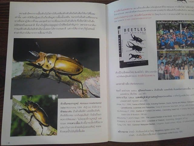 【輸入本】タイの専門書【クワガタ】