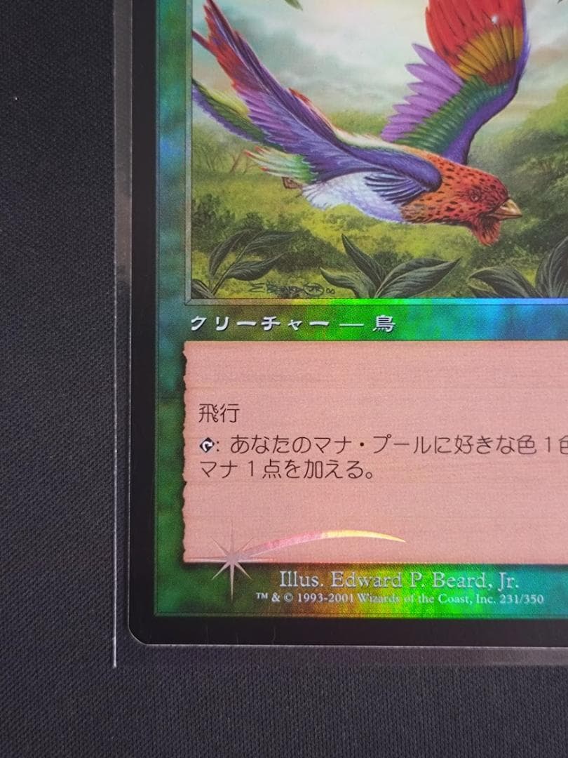 MTG 極楽鳥/Birds of Paradise ７ED 日本語 foil