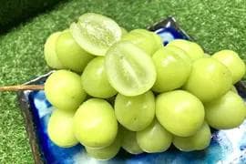 【岡山県産】 5kg 甘い高級シャインマスカット! 大粒 7〜10房