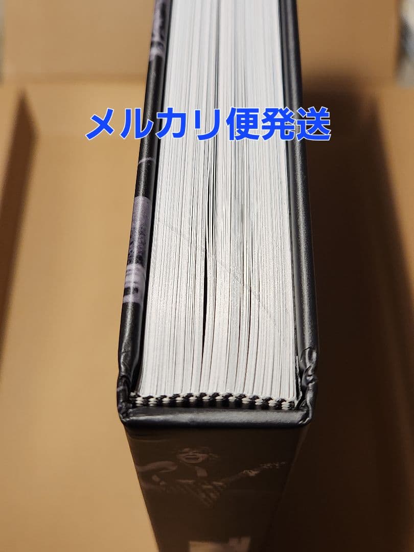 洋書RANDY RHOADS ランディローズ(ロスハルフィン)写真集Ozzy