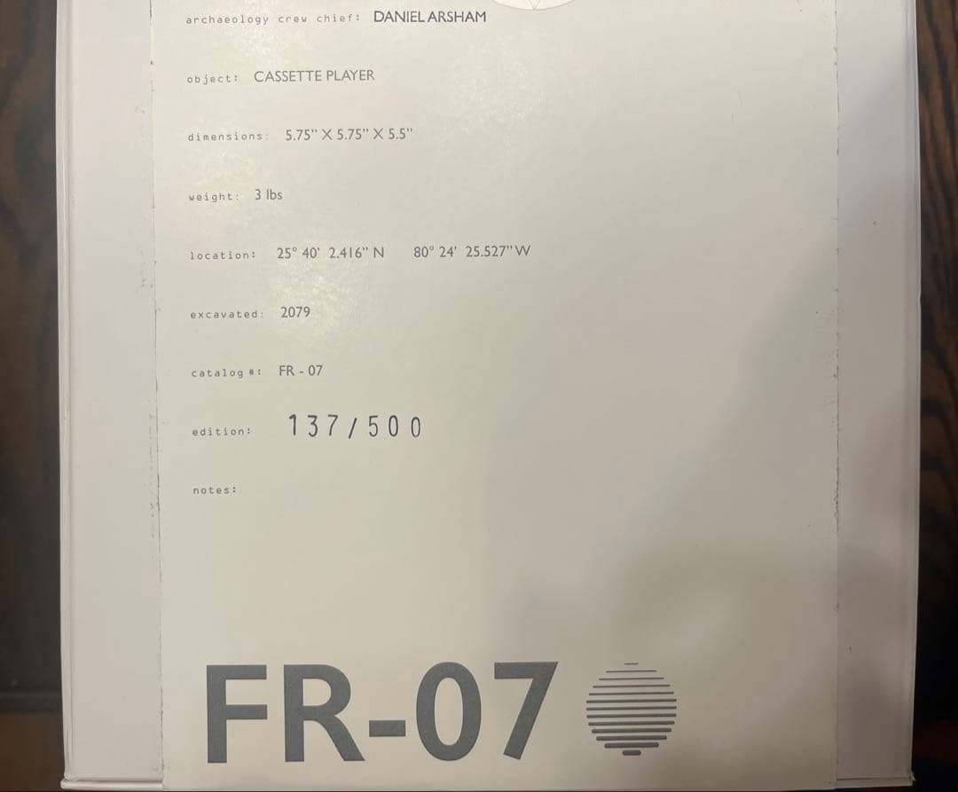 Daniele Arsham Future Relic 07 ダニエルアーシャム