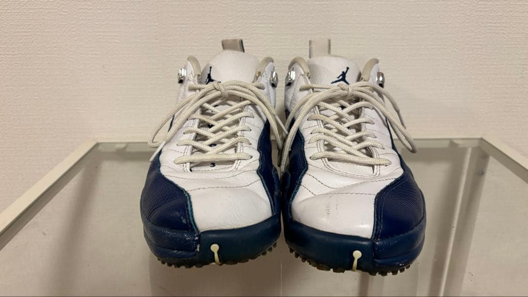 Nike Air Jordan 12 Low Golf ナイキ　ジョーダン12