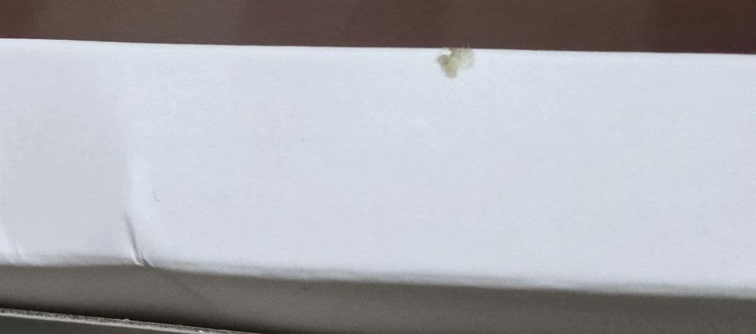 C107 WEBSHOPくじ A賞 鬼滅の刃 ビッグアクリルスタンド　冨岡義勇