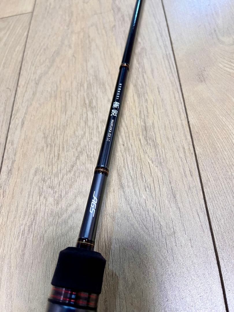 極鋭マルイカEX-LC