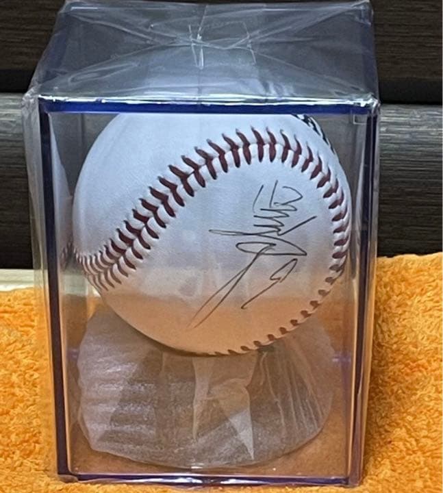 ジャイアンツ　巨人　亀井善行（義行）さん　サインボール　シーズンシート　オーナー