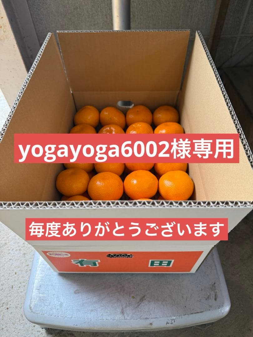 【濃厚】本場有田みかん 10kg