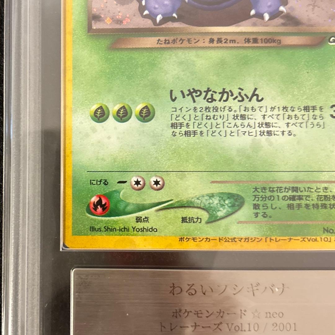 【ARS9】　わるいカメックス　わるいフシギバナ