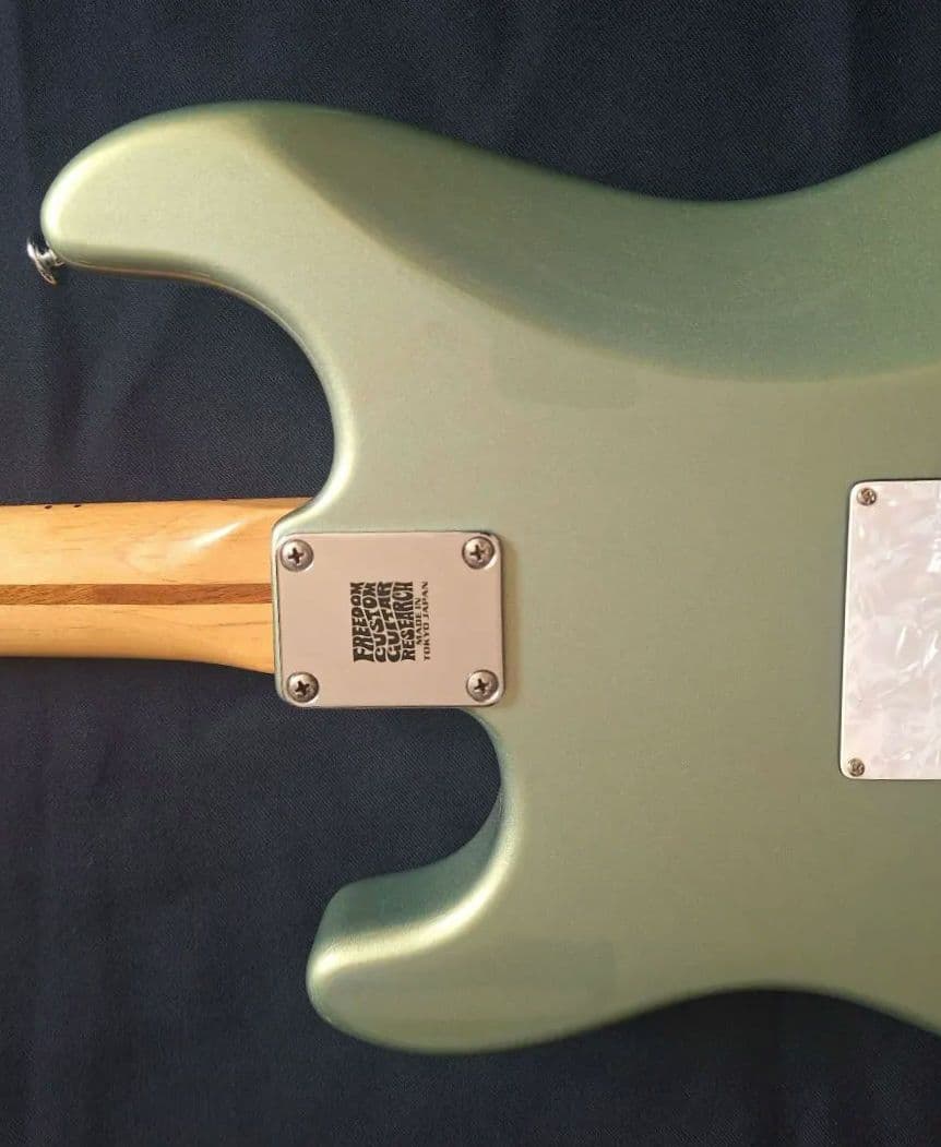 Fender Mexico スタンダード ストラトキャスター D.AllenPU