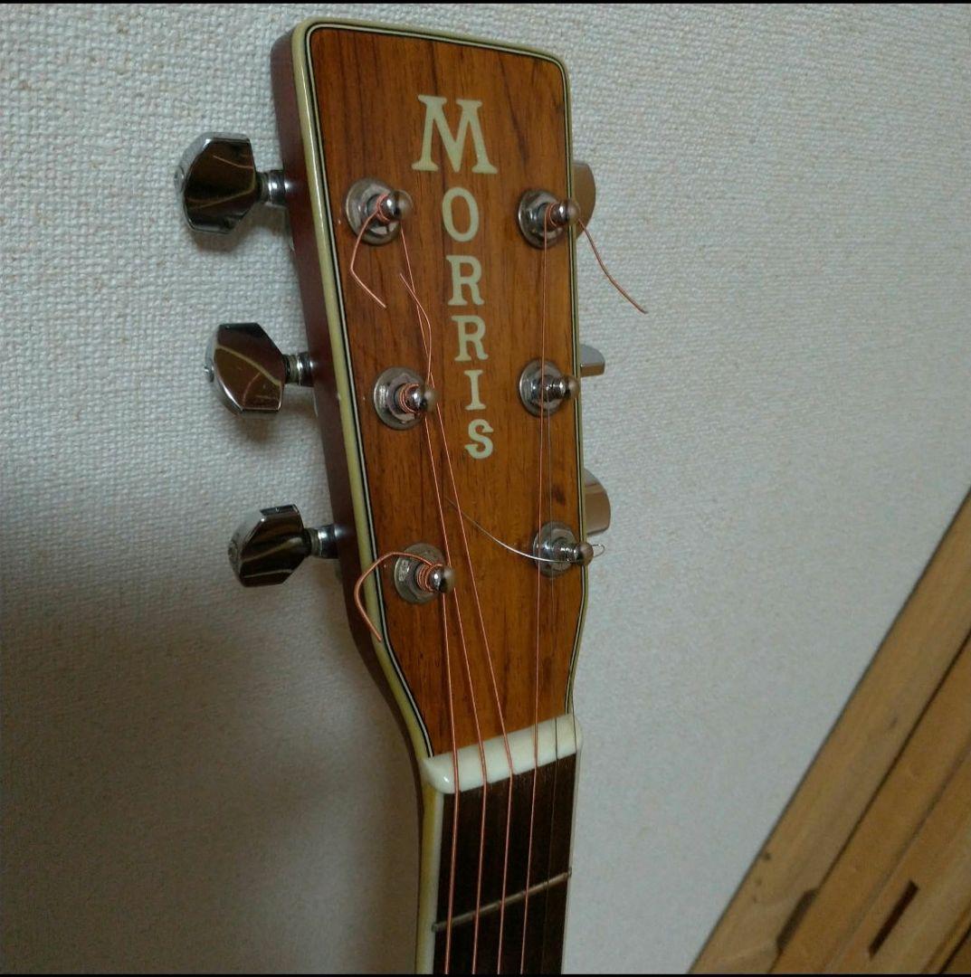 モーリスW40。Morris。 JAPANビンテージギター