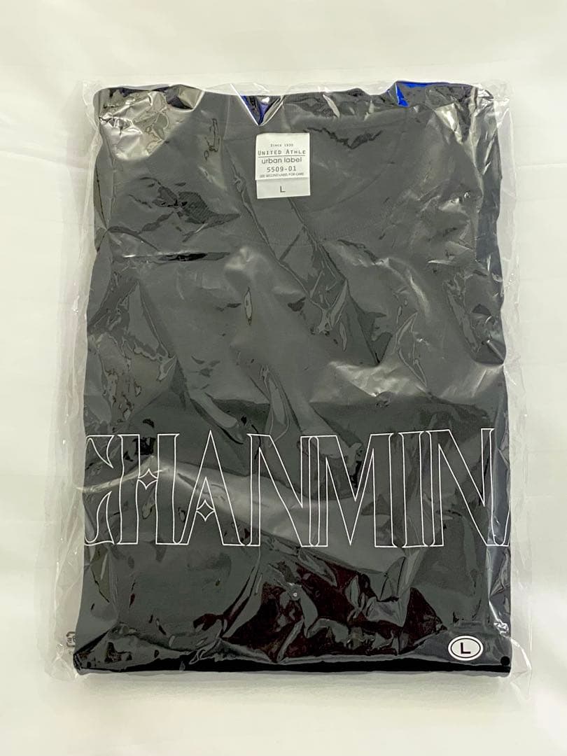 【新品未開封】ちゃんみな　AREA OF DAIAMOND4 ロンT Ｌサイズ