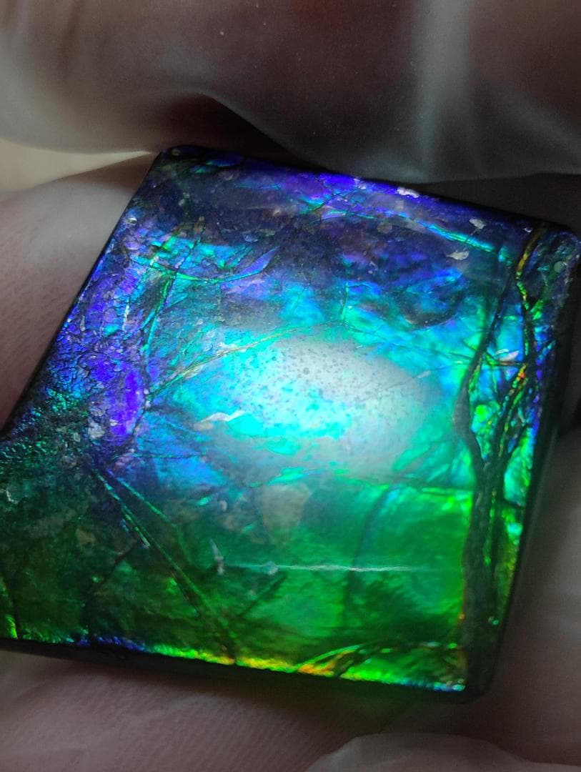 アンモライト　ルース　24-0743 37500