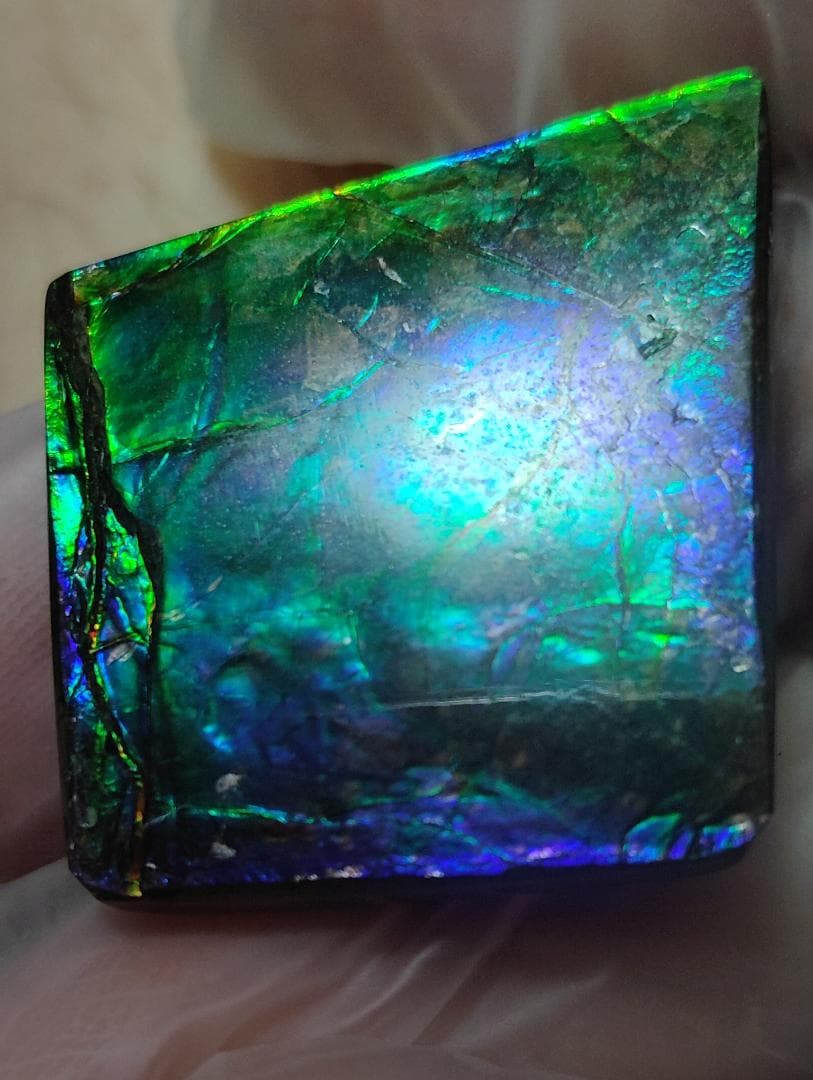 アンモライト　ルース　24-0743 37500