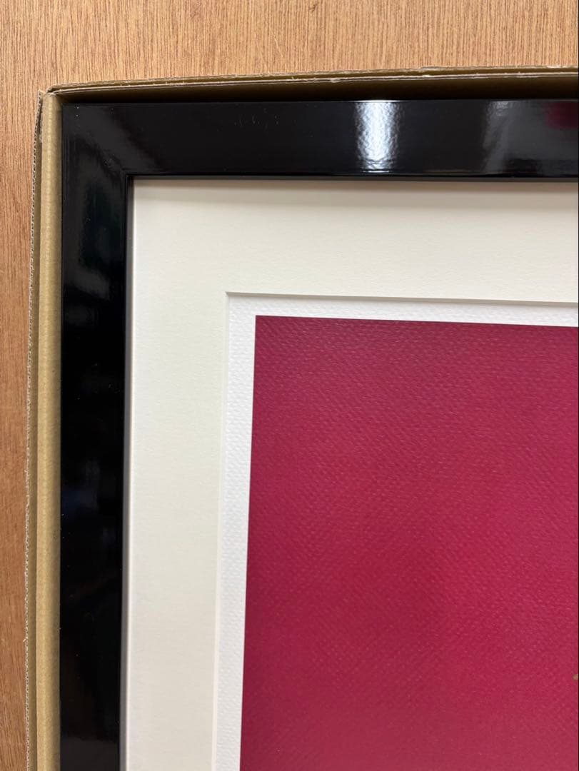 奈良美智　ロッタちゃん 世界限定 100枚 現代アート サイン入り