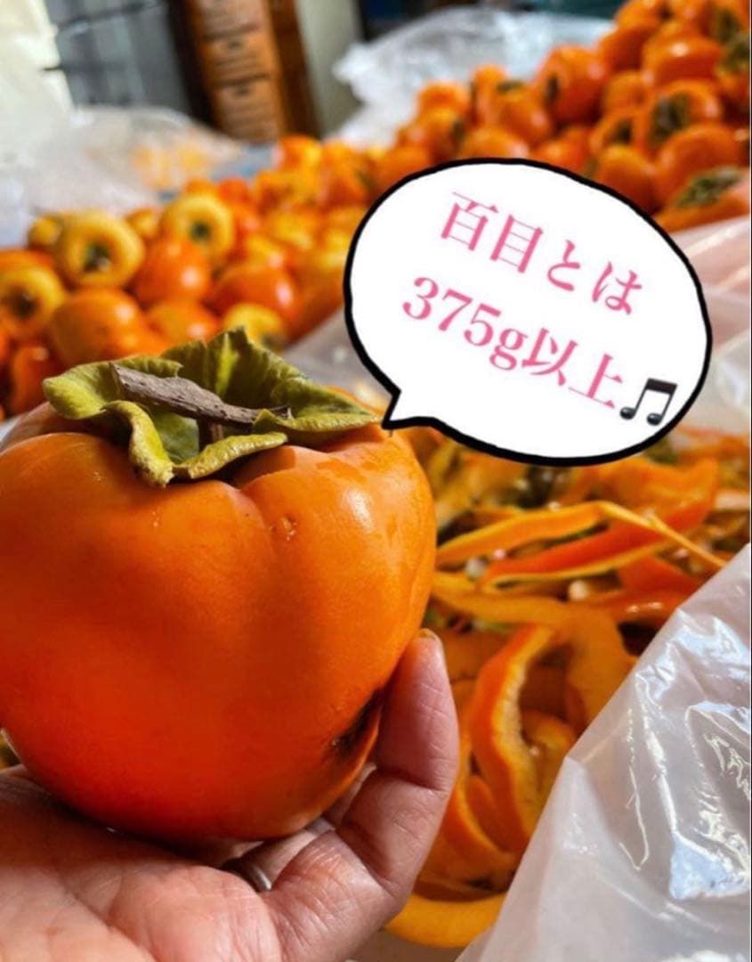 mai様 1号　特大12個と 1号20個入りの2箱セット