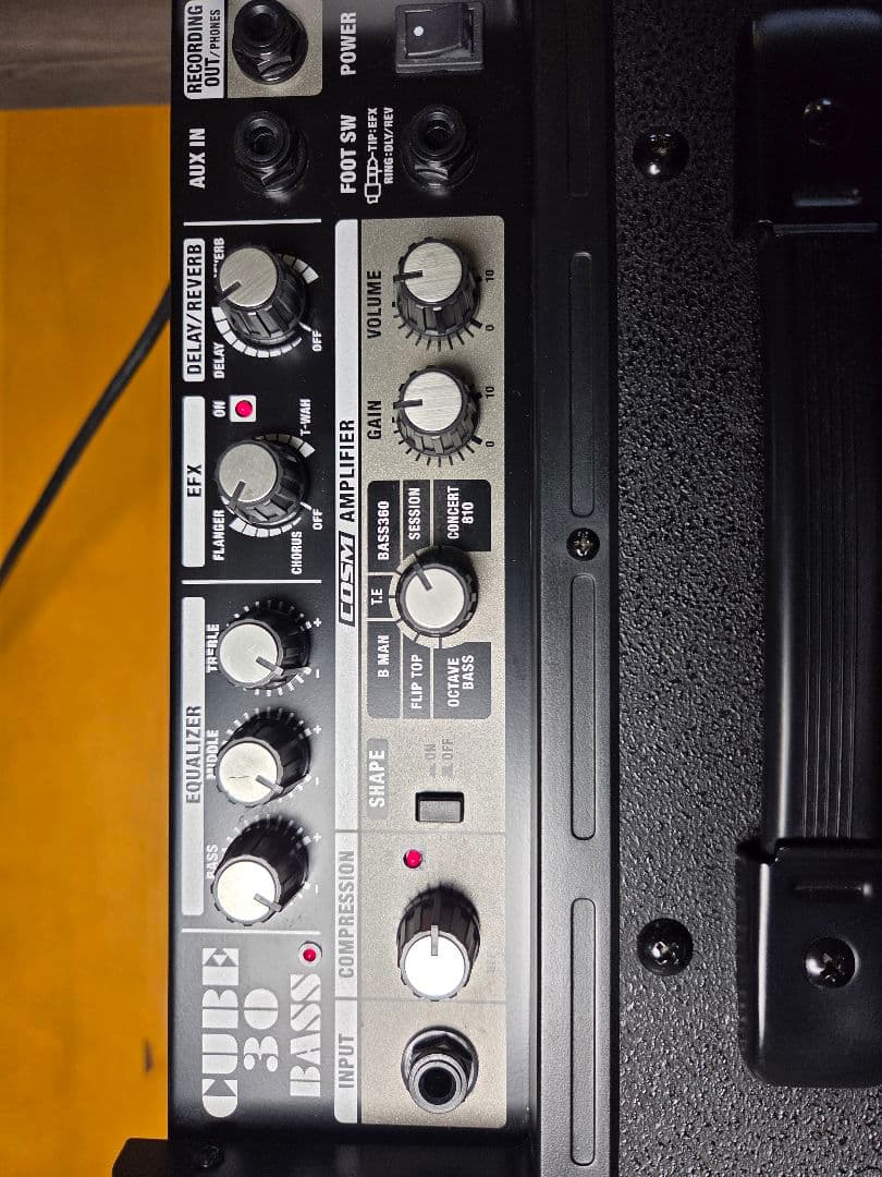 Roland ローランド ベース用アンプ CUBE-30
