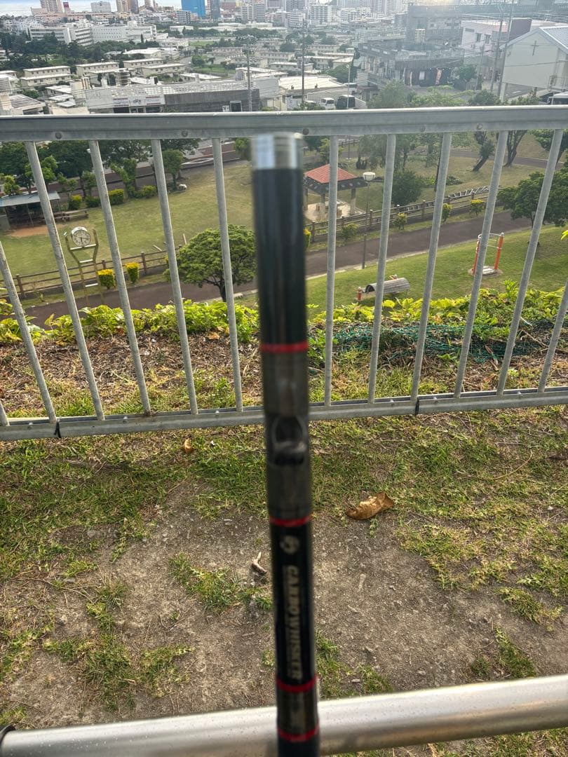 カーボウイスカー尖閣100号