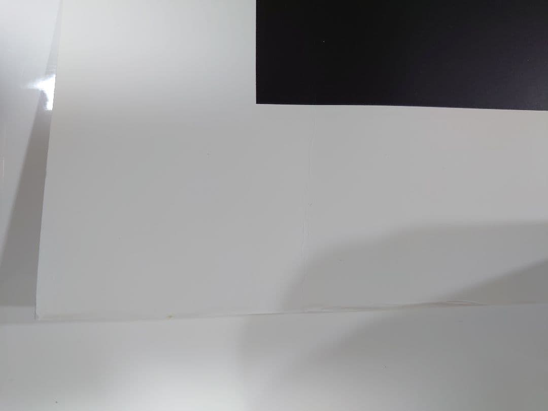 ディズニーワールド　直筆サイン　2000　限定　ポスター　リトグラフ　パレード