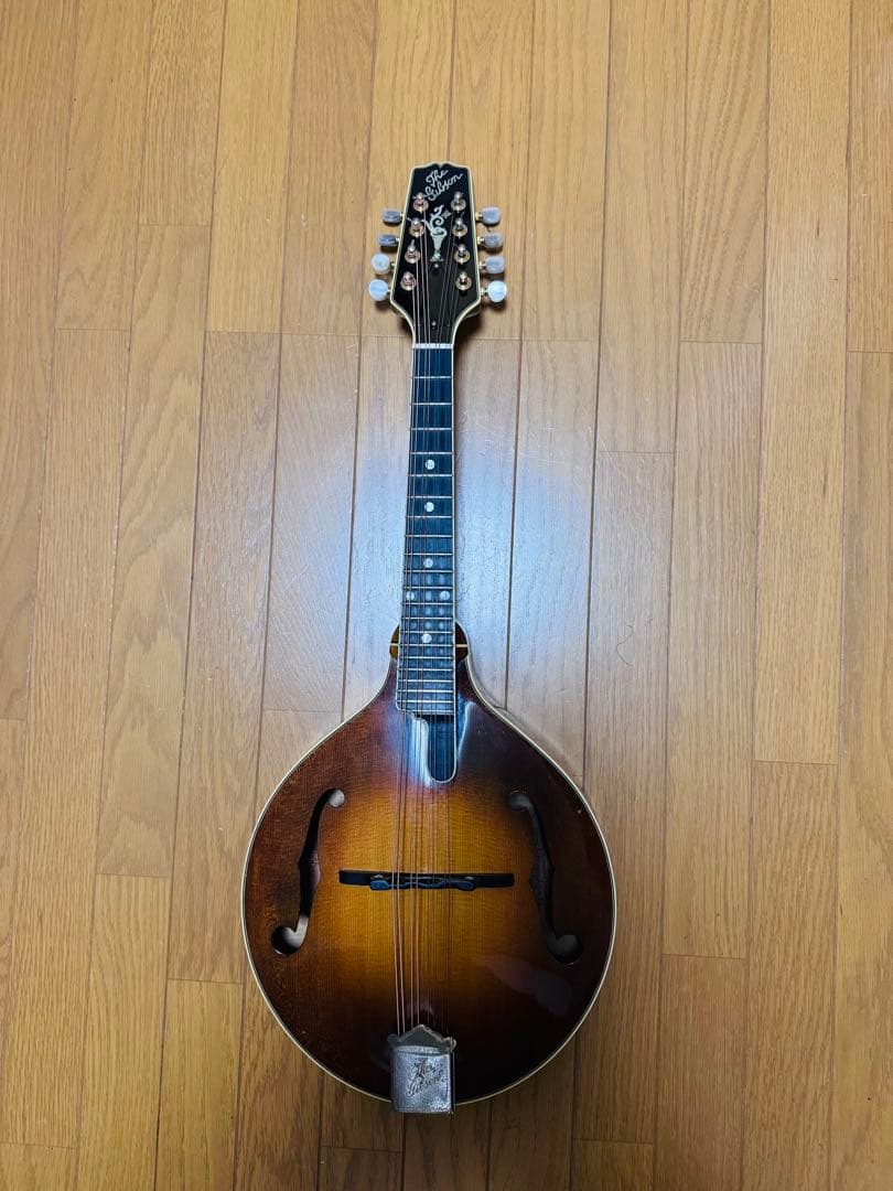 Gibson Mandolin A-5L 1989年