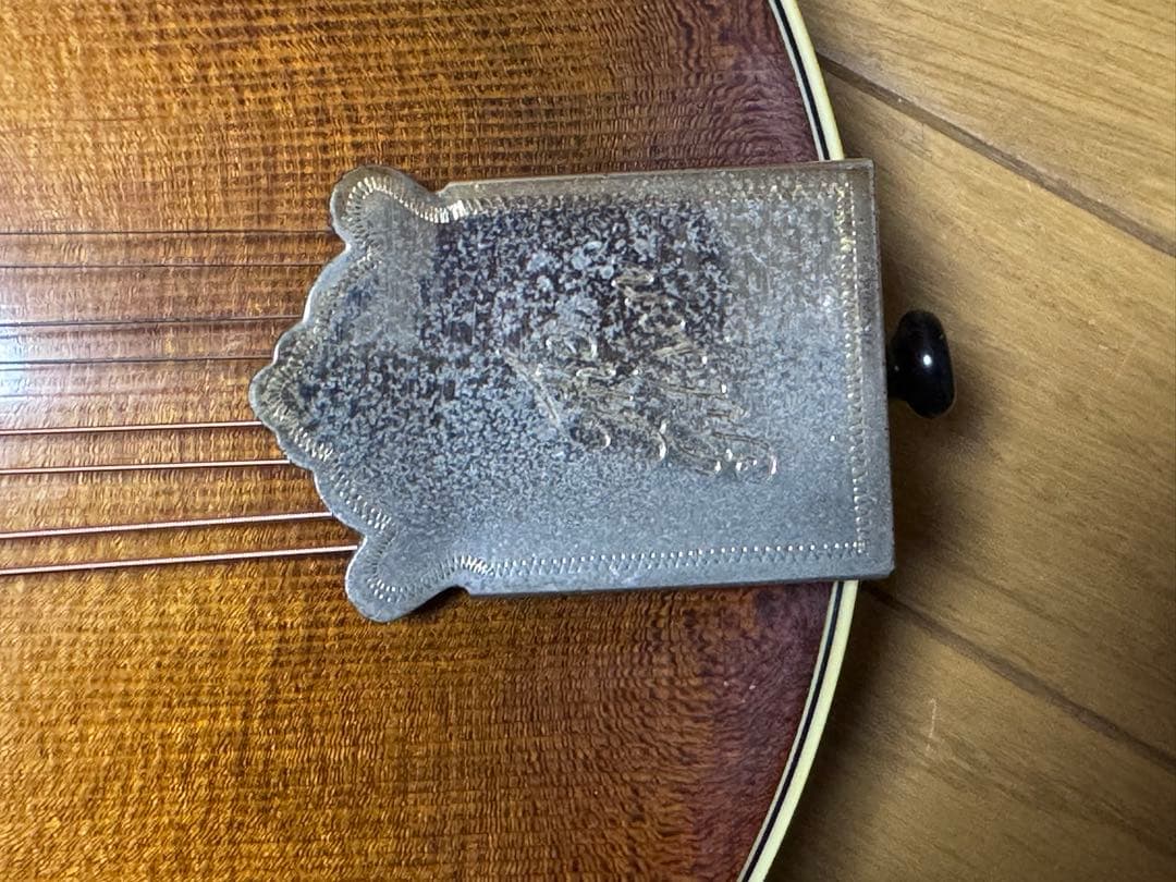 Gibson Mandolin A-5L 1989年