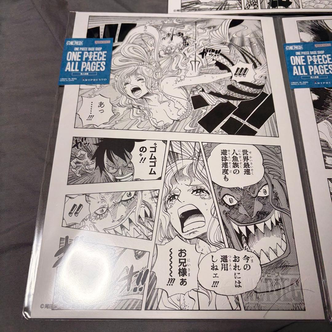 ONE PIECE ALL PAGES（B5） 魚人島編　しらほし　3枚セット