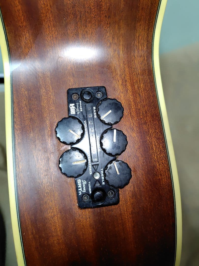 【12弦エレアコ】Ibanez ／弦高低め弾きやすい・ソフトケース付・値段応相談