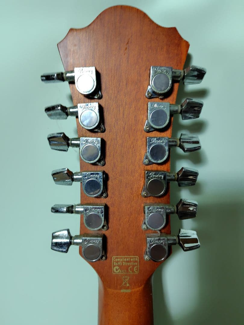 【12弦エレアコ】Ibanez ／弦高低め弾きやすい・ソフトケース付・値段応相談