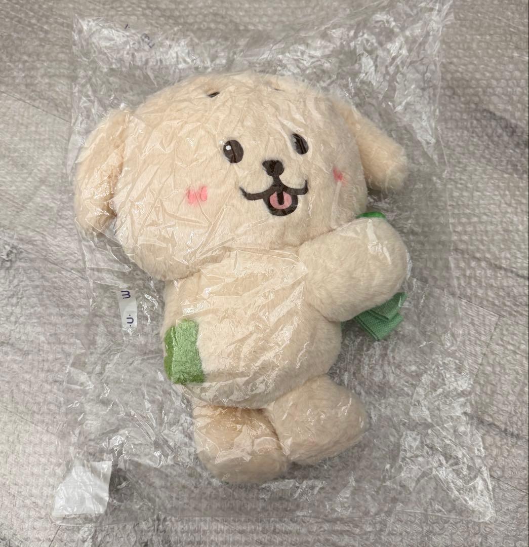 NCT WISH ジェヒ　デントリバー バッグ　ソウルコン　カバン　キャラクター