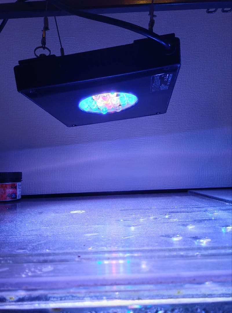 ライト・照明器具 radiong4