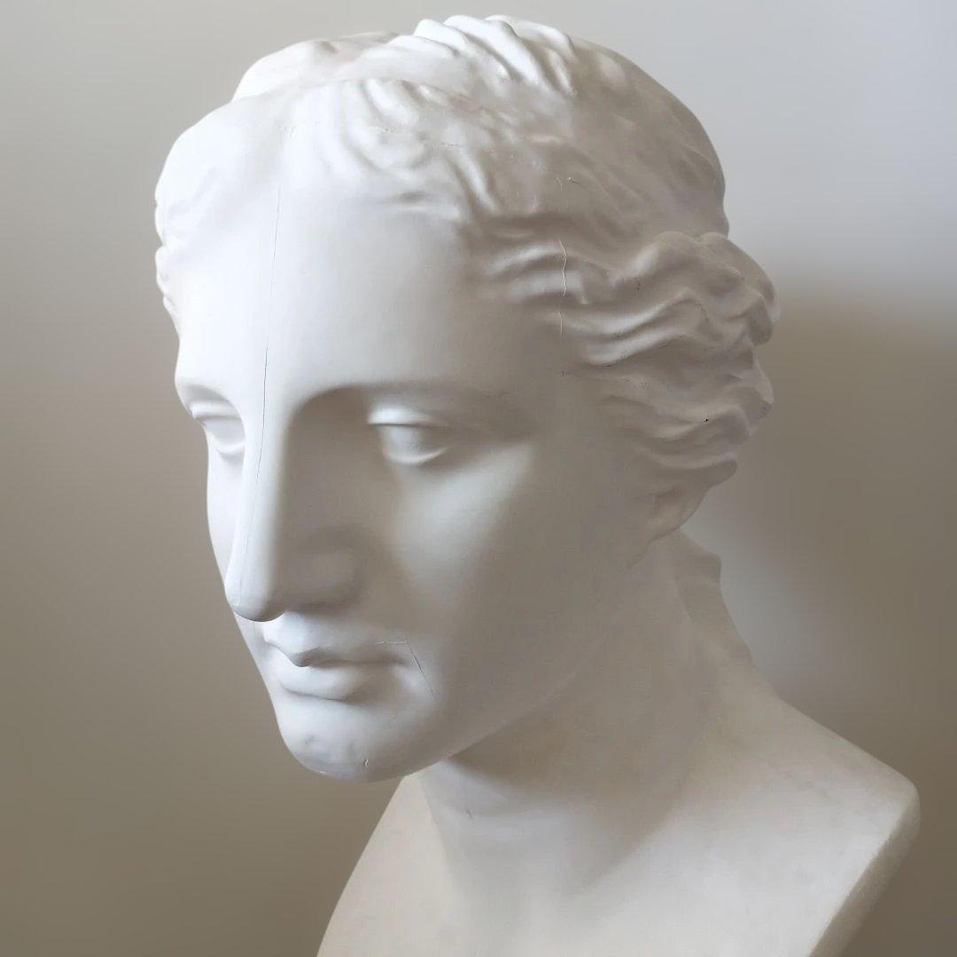 ミロのビーナス石膏像