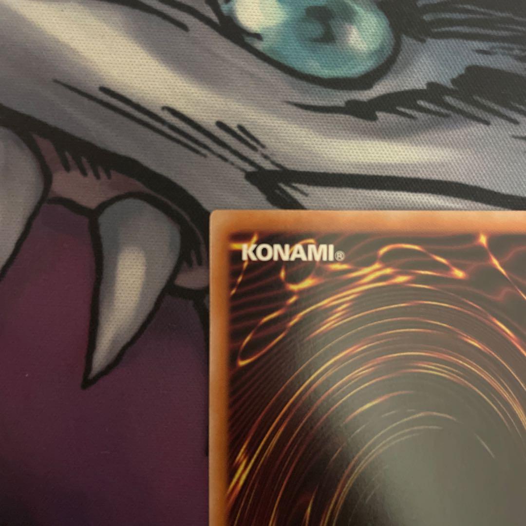 遊戯王　青眼の白龍　クォーターセンチュリーシークレット　1枚