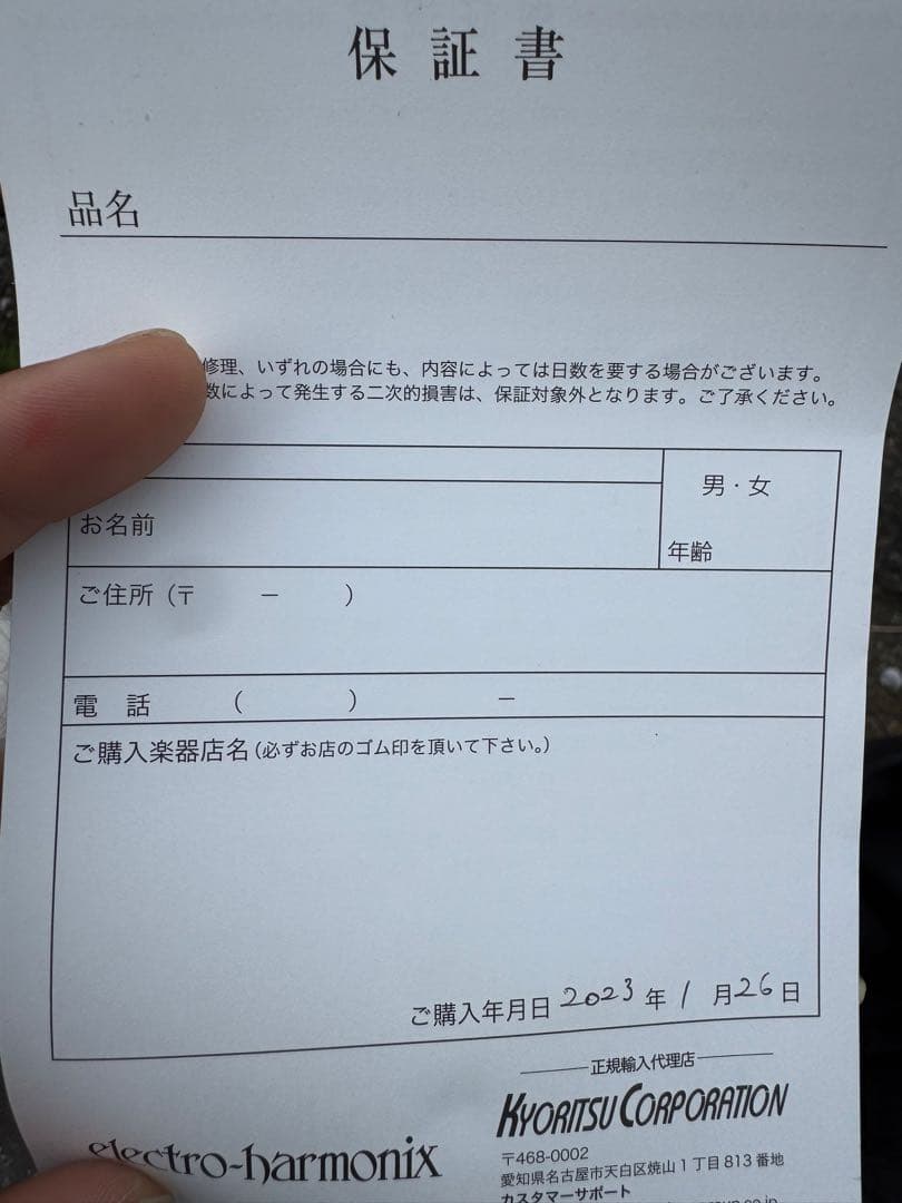 ‼️今なら即発送‼️electro-harmonix Soul Food