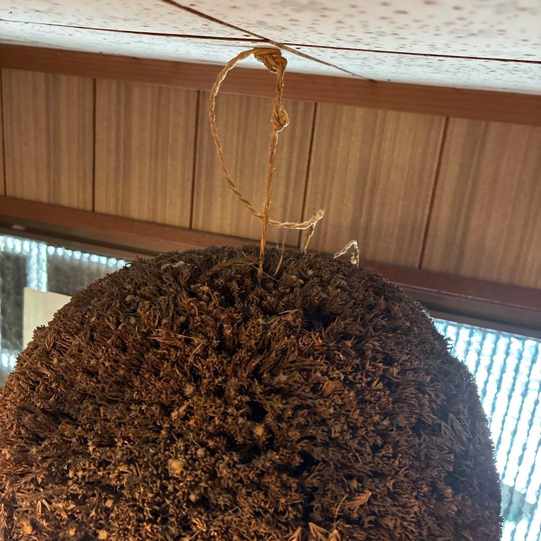 酒蔵の古い杉玉(酒林)