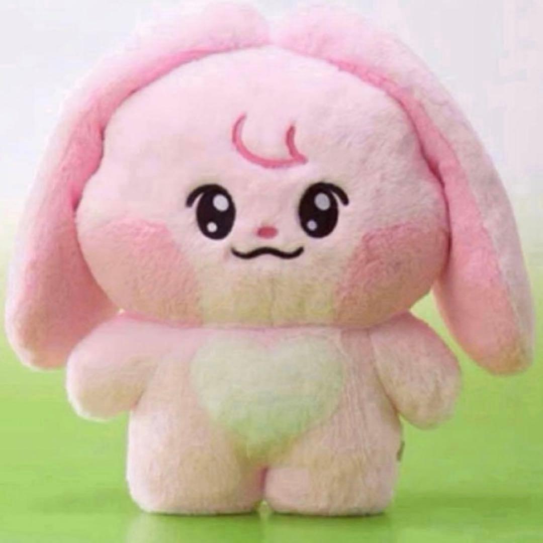 dreamiez フラットぬいぐるみ クッション ジェミン kkyuping