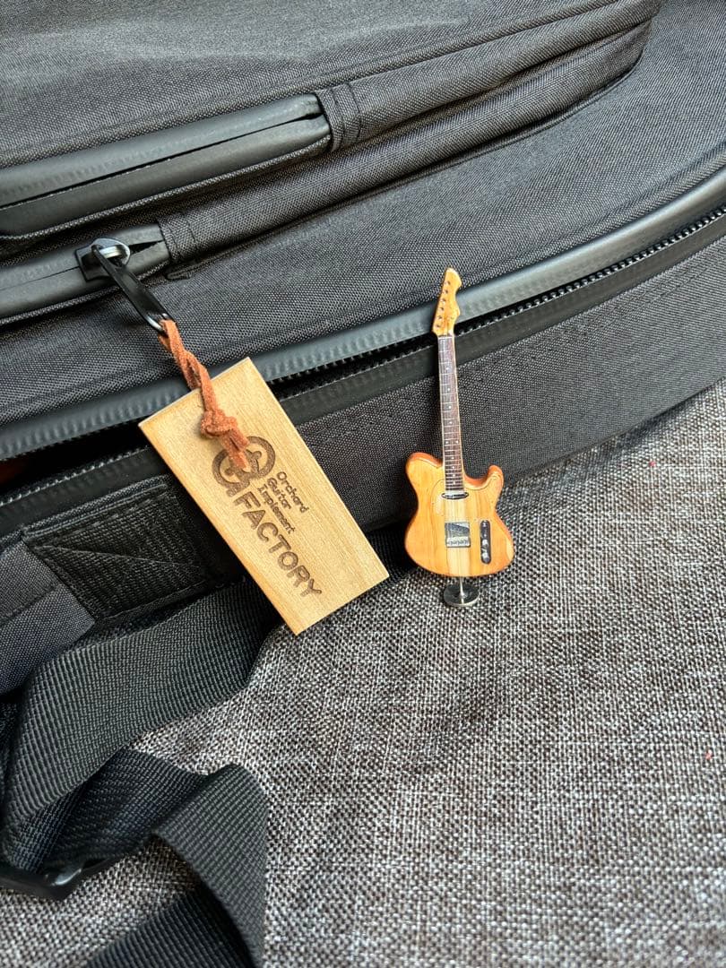 【信州ギター】Ogi Factory Apple-NT 2023 テレキャスター