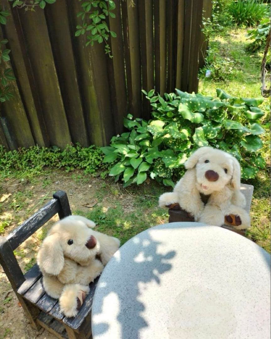 【新品】【命の重み】パトラン　ぬいぐるみ　犬　 ゴールデンレトリバー