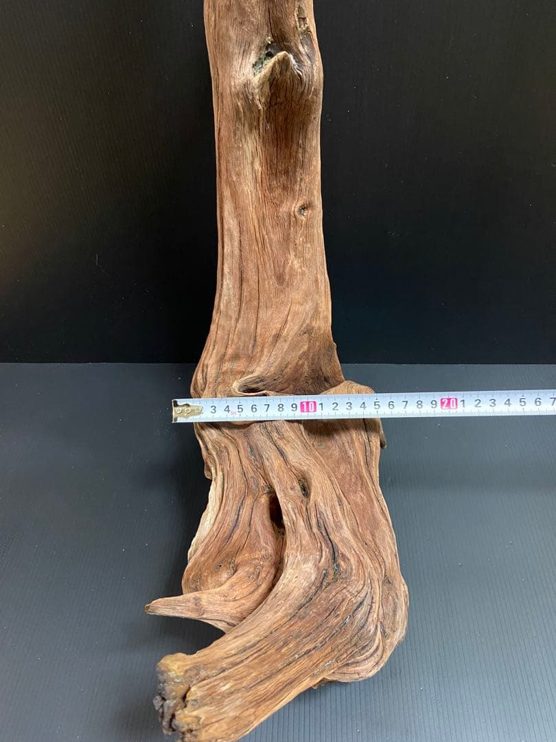 流木　大型　ホーンウッド　アクアリウム用